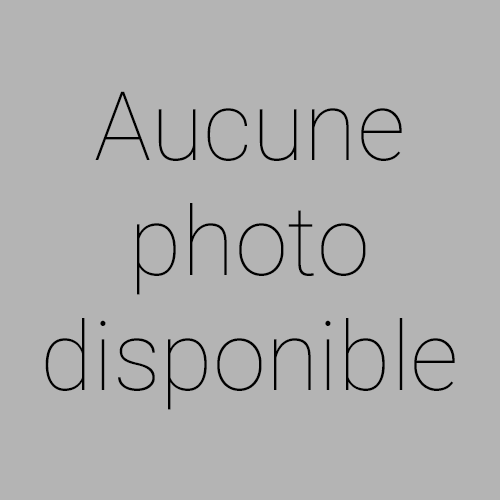 Renault SCENIC - 1.2 TCE 130 INTENS