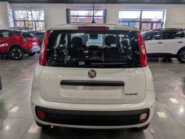 Fiat Panda - 1.0 70 ch Hybrid BSG S/S City