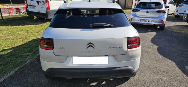 Citroën C4 Cactus - PureTech 110 S&S Shine Edition