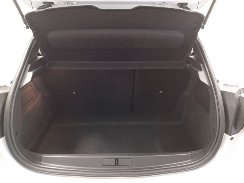 Peugeot 208 - BlueHDi 100 S&S BVM6 Active Business
