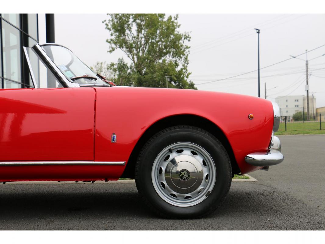 Alfa Romeo Giulia - Gulia Spyder 1600