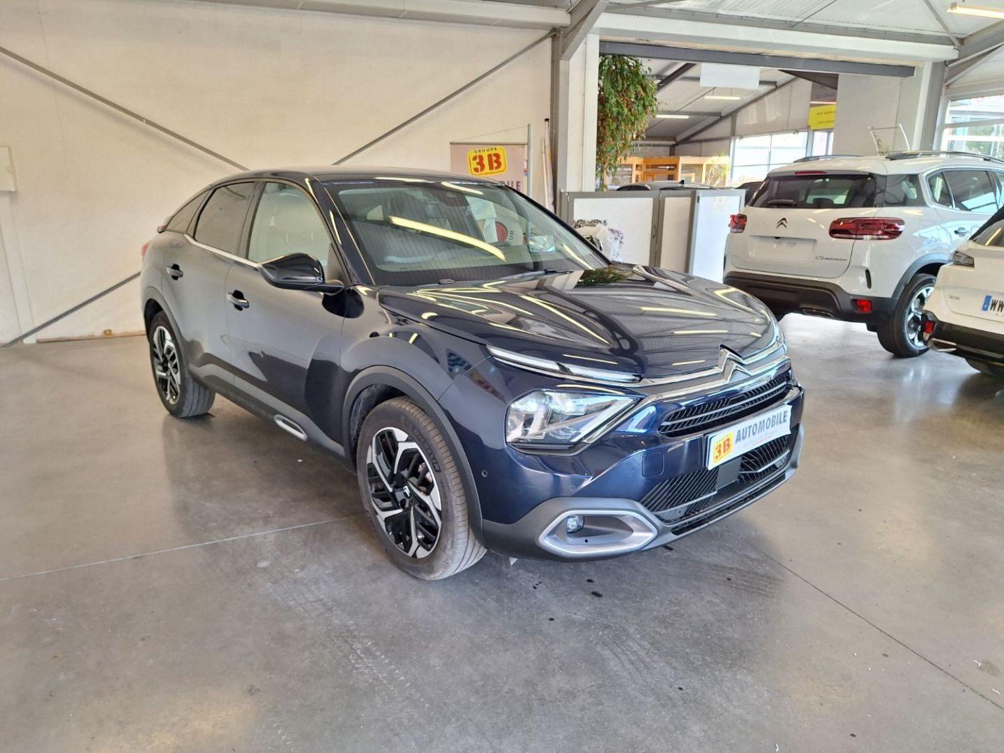 CITROEN C4 - 1.5 BLUEHDI MAX EAT8 130CV