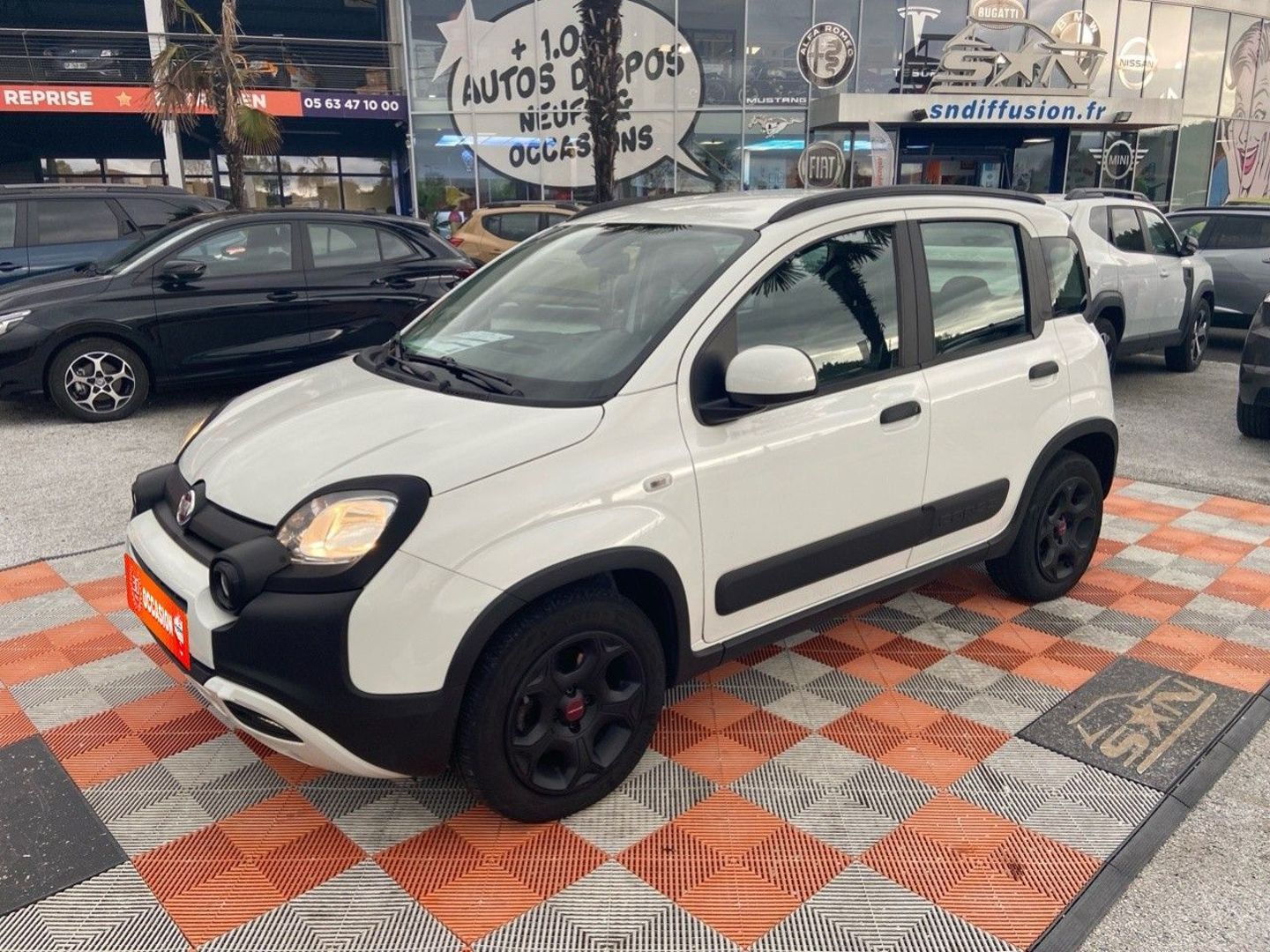 FIAT PANDA - 1.0 70 HYBRID CITY CROSS PACK CLIM AUTO ECRAN 1°MAIN (2023)