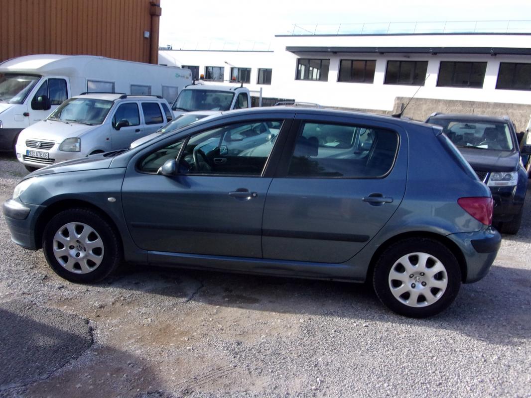 Peugeot 307 - 2.0 HDI 90XT